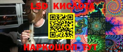 шишки Кимры