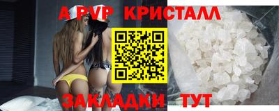 молекула духа Кингисепп