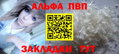 шишки Кимры