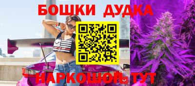 молекула духа Кингисепп