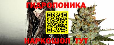 молекула духа Кингисепп