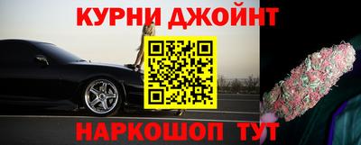 шишки Кимры