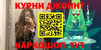 молекула духа Кингисепп