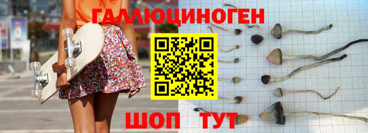 Псилоцибиновые грибы прущие грибы Карталы