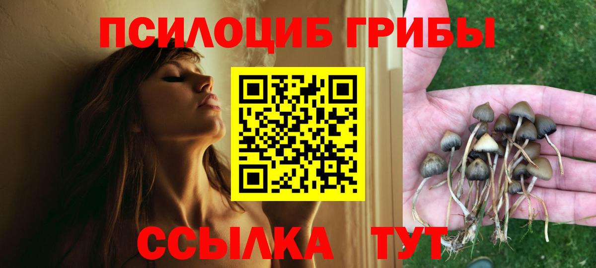 Галлюциногенные грибы Psilocybe  Псилоцибиновые грибы Psilocybe  Вход с VPN  Карталы 